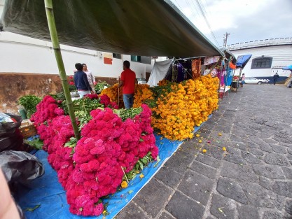 Mercados de Xalapa intensificaron la venta de productos para los altares de Días de Muertos, ya que la tradición ahora se extiende a edificios públicos generando mayores ventas. 