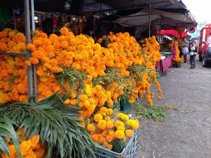 Mercados de Xalapa intensificaron la venta de productos para los altares de Días de Muertos, ya que la tradición ahora se extiende a edificios públicos generando mayores ventas. 