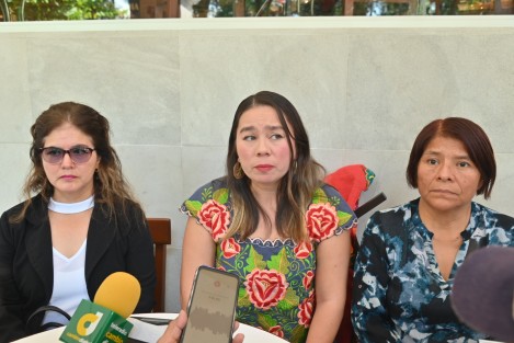 La secretaria de Agendas de Igualdad del extinto Partido de la Revolución Democrática (PRD), Miriam Lagunes Marín, está solicitando al INE resolver la situación de ex trabajadores de ese partido político a quienes en algunos casos se les adeuda sueldo desde el año pasado. 