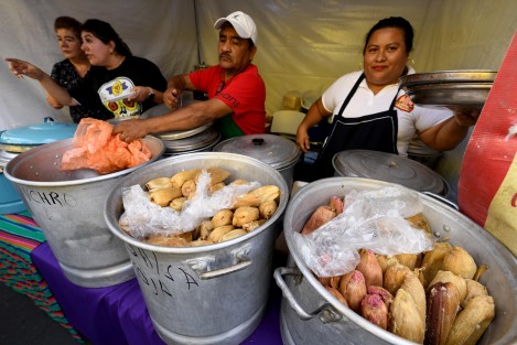 Fin de semana de tamales, chocolate y pan en el parque Juárez de Xalapa, en la Feria del Tamal, Pan y Chocolate 2024. 