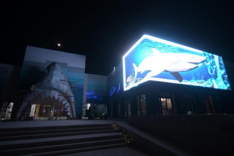 Impresionantes lucen las imágenes de un tiburón proyectadas en una colosal pantalla instalada en la fachada del nuevo Aquarium del Puerto de Veracruz, como parte del proyecto de modernización y ampliación del recinto. 