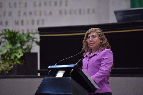 ara contribuir a la armonización legislativa en materia de protección de los derechos de niñas, niños y adolescentes veracruzanos y a su correcto desarrollo desde el marco jurídico estatal, la diputada Liud Herrera Félix propuso, mediante una Iniciativa, reformar y adicionar diversas disposiciones de la Ley de los Derechos de Niñas, Niños y Adolescentes del estado (LDNNA). 
