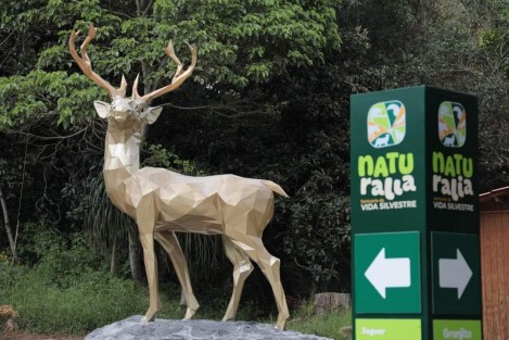 Desde las 9 de la mañana del próximo domingo, familias y amantes de la naturaleza podrán disfrutar del parque Naturalia Santuario de Vida Silvestre, donde convergen aprendizaje, conexión con la fauna y esparcimiento. 