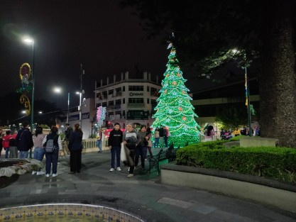 A un mes de Navidad, los xalapeños ya disfrutan de la iluminación de temporada colocada en el parque Juárez. 