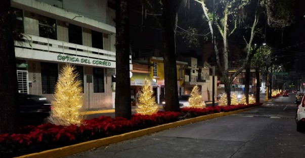 Así lucen algunas zonas de Xalapa, por temporada navideña. 