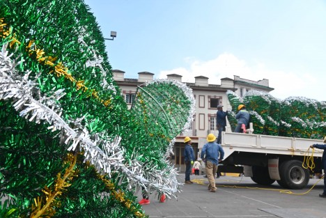 Trabajadores del ayuntamiento de Xalapa llegaron con el tradicional árbol de navidad  a la plaza Lerdo para la celebración de las fiestas decembrinas. 