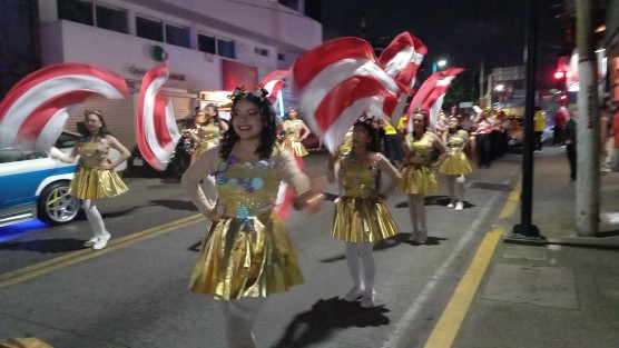 Con el fin de preservar las tradiciones e impulsar el turismo y la cultura en la región capital, este sábado 14 de diciembre se llevó a cabo el Desfile Navideño 2024.