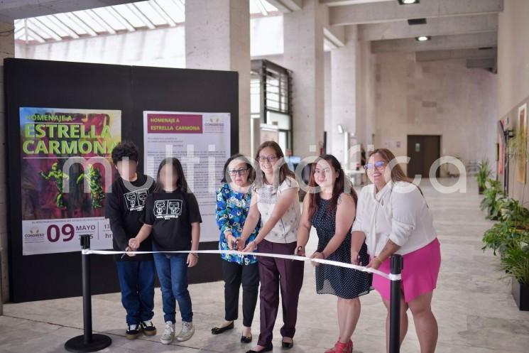 Como reconocimiento a su trayectoria y aportaciones al arte contemporáneo, en las instalaciones del Congreso de Veracruz la presidenta de la Mesa Directiva de la LXVII Legislatura, diputada Tanya Carola Viveros Cházaro, y la historiadora Nancy Torres, inauguraron la muestra denominada “Homenaje a Estrella Carmona”.