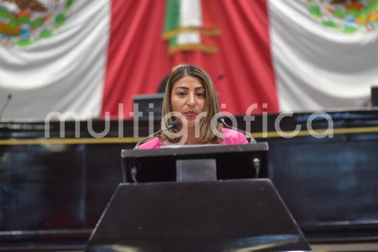 Para que la Fiscalía General del Estado (FGE) y el Organismo Público Local Electoral (OPLE), ambos del estado de Veracruz, realicen las investigaciones y verificaciones correspondientes a todos los candidatos a ocupar cargos de magistradas, magistrados, juezas y jueces en el próximo proceso electoral, la diputada Hilda Nava Seseña presentó un Anteproyecto de Punto de Acuerdo.
