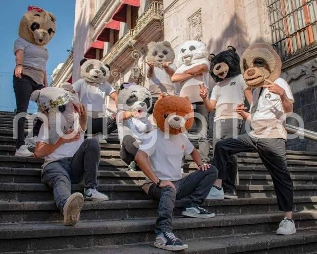 Fueron asaltados en carretera el grupo musical 