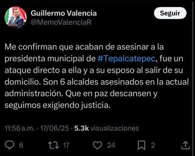 La alcaldesa Martha Laura Mendoza y su esposo fueron asesinados al salir de su domicilio en Tepalcatepec, Michoacán. Su hijo resultó gravemente herido durante el ataque.