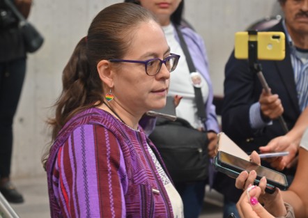 Tanya Viveros, presidenta de la Mesa Directiva, advirtió sobre una posible expulsión del senador Manuel Huerta de MORENA