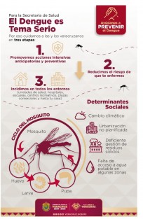 Este miércoles 2 de julio se efectuará la Reunión del Subcomité Interinstitucional para la Prevención y Control  Transmitidas por Vector, como es el caso del dengue, zika y chikungunya, misma que será encabezada por Valentín Herrera Alarcón, secretario de Salud del Estado, y el alcalde de Xalapa, Alberto Islas Reyes, así como de los 33 alcaldes que conforman la Jurisdicción Sanitaria número 5.
