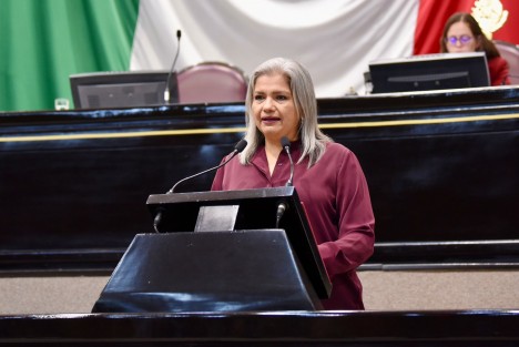 La diputada Daniela Flores Barnils presentó al Pleno un Anteproyecto con Punto de Acuerdo, por el cual exhorta a los 212 Ayuntamientos de la entidad para que, en el marco de sus atribuciones, implementen acciones para garantizar la seguridad de las y los conductores motociclistas y transeúntes, así como dar cumplimiento a lo dispuesto en las Leyes Orgánica del Municipio Libre y de Tránsito y Seguridad Vial para el Estado de Veracruz.
