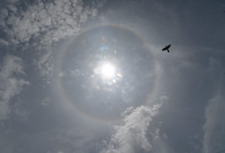 Con la visualización del halo solar en Xalapa, algunas personas creen que comienza la canícula, un período de aproximadamente 40 días que ocurre entre julio y agosto. Su nombre proviene de una referencia astronómica, ya que está asociado con la constelación Can Mayor y su estrella más brillante, Sirio, la cual, en la antigüedad, se relacionaba con los días más calurosos del verano.
