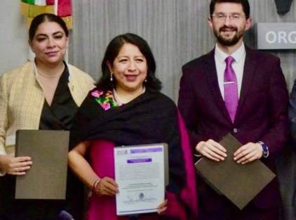 Definió el Organismo Público Local Electoral (OPLE) , que la magistrada electa Rosalba Hernández Hernández será la próxima presidenta del Tribunal Superior de Justicia (TPJ).
