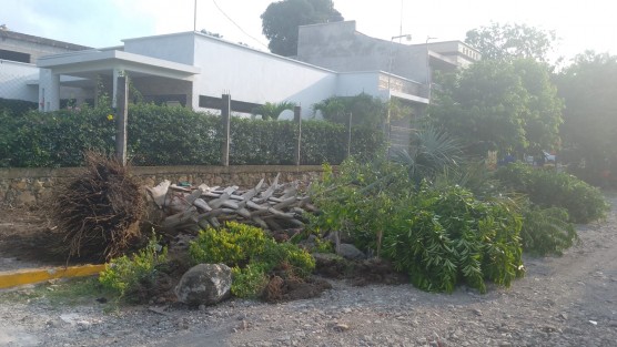 Maquinaria del Ayuntamiento de Cuitláhuac arrasó con la única área verde de la colonia Arboledas, pese a que vecinos la habían rehabilitado con recursos propios. El Comité Vecinal denunció que no hubo consulta previa y que el espacio fue destruido bajo el argumento de instalar juegos infantiles, sin considerar el impacto ambiental.
