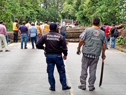 Este miércoles se cerró la circulación en el tramo Zimpizahua–Las Puentes (carretera Coatepec-Xico) por trabajos de chapeo y derribo de árboles en riesgo.

El operativo estará activo hasta las 3:00 p.m.
Toma precauciones y considera rutas alternas.
Protección Civil Coatepec, Policía Municipal y vialidad de Xico trabajan para tu seguridad.

