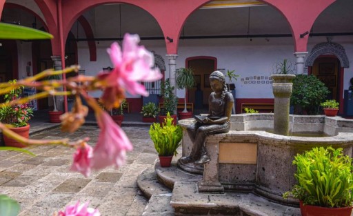 El Ayuntamiento de Xalapa invita a asistir a los Talleres de Verano gratuitos que se desarrollarán desde hoy y hasta el 29 de agosto en el Centro Recreativo Xalapeño (CRX) y el Museo de la Música Veracruzana, entre los que destacan los de Ajedrez, Teatro para Niños y actividades de aprendizajes musicales.
