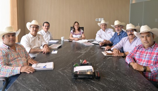 Ante la detección de un caso de Gusano Barrenador del Ganado (GBG) en Ixhuatlán de Madero, la gobernadora Rocío Nahle García anunció una serie de medidas sanitarias emergentes para contener y evitar la propagación del parásito, en coordinación con autoridades federales y productores.