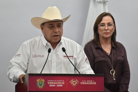 El subsecretario de Ganadería de la Secretaría de Desarrollo Agropecuario, Rural y Pesca (SEDARPA), Carlos Jiménez Díaz, informó que hasta el momento se han confirmado 40 casos de animales afectados por gusano barrenador en Veracruz, todos ya tratados y bajo vigilancia zoosanitaria. Reiteró que el gobierno estatal, en coordinación con el Servicio Nacional de Sanidad, Inocuidad y Calidad Agroalimentaria (SENASICA) y las asociaciones ganaderas locales, mantiene un operativo permanente de monitoreo y control, especialmente en las regiones del norte.
