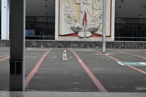 Profesores de la Escuela Normal Veracruzana cerraron este día los accesos del plantel en protesta porque la SEV no les ha pagado el estímulo al desempeño docente. Advierten que esta acción será por 12 horas este martes.

