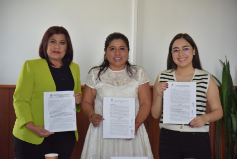 Al concluir el plazo para la recepción de propuestas, las diputadas Imelda Garrido, Angélica Peña y Valeria Méndez analizan los méritos de cada propuesta e integran la terna.