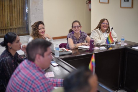 La presidenta de la Mesa Directiva de la LXVII Legislatura, diputada Tanya Carola Viveros Cházaro, y la presidenta de la Comisión Permanente para la Igualdad de Género, diputada Astrid Sánchez Moguel, realizaron una mesa de trabajo con especialistas en el tema para la construcción del proyecto de ley que reforma diversos artículos del Código Penal denominado Violencia por Prejuicio a la Población LGBTTTIQAP+.
