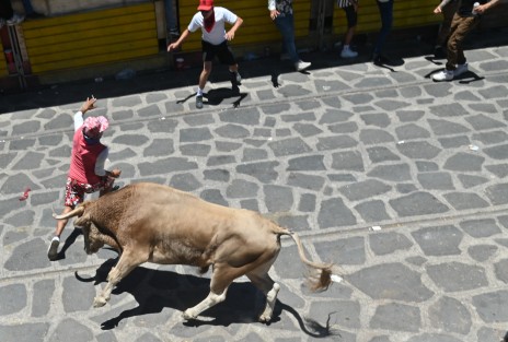 La Xiqueñada celebró 50 años de tradición en Xico, Veracruz, como parte de las fiestas patronales en honor a Santa María Magdalena. Este año, el evento dejó al menos 11 heridos, según autoridades locales.