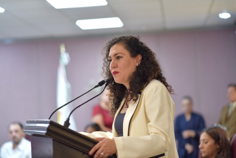 Con la finalidad de incorporar en la Ley de Protección Ambiental el concepto de sostenibilidad, así como reconocer mediante el otorgamiento de estímulos fiscales a quienes fomenten el uso de energías renovables y limpias, la diputada Ana Rosa Valdés Salazar presentó a la Diputación Permanente una Iniciativa que reforma diversas disposiciones del citado ordenamiento.