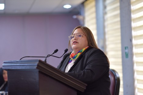 Dar cumplimiento a las obligaciones del estado de Veracruz en materia de igualdad y no discriminación para la erradicación de prejuicios motivados por la orientación sexual, al identidad y expresión de género y las características sexuales (OSIEGCS), sanción y reparación dentro del Código Penal local, atendiendo a la máxima protección de la dignidad humana