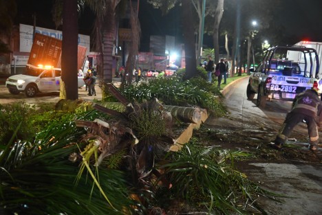 Un aparatoso accidente ocurrió sobre la avenida Lázaro Cárdenas, a la altura de la colonia La Corona, cuando un tráiler brincó el camellón e impactó contra un automóvil Nissan Versa. Al menos tres personas resultaron heridas, dos de ellas de gravedad.

