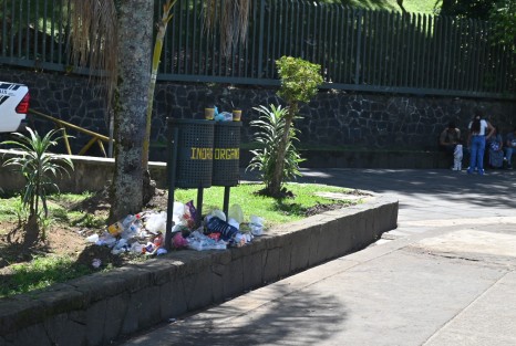 Con sólo algunos turistas y botes llenos de basura, así lucen los lagos de Xalapa este viernes 08 de agosto, el sitio donde hubo algunas atracciones como lanchas, tirolesa y juegos acuáticos, ahora luce vacío y sucio.