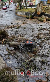 Derivado de la fuerte lluvia que se registró esta madrugada,un árbol se cayó en la calle de Pipila, esquina Niños héroes, llevándose a su paso  cables de telefonía y energía eléctrica. Maneje con precaución 