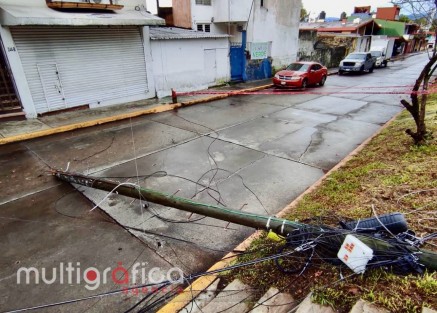 Derivado de la fuerte lluvia que se registró esta madrugada,un árbol se cayó en la calle de Pipila, esquina Niños héroes, llevándose a su paso  cables de telefonía y energía eléctrica. Maneje con precaución 