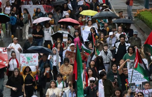 Asociaciones civiles, académicos, estudiantes y población en general marcharon en la ciudad de Xalapa, desde el Teatro del Estado hasta el centro de la capital, para exigir a la federación romper relaciones con el Estado de Israel.
