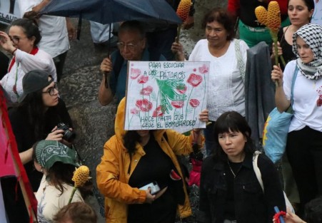 Asociaciones civiles, académicos, estudiantes y población en general marcharon en la ciudad de Xalapa, desde el Teatro del Estado hasta el centro de la capital, para exigir a la federación romper relaciones con el Estado de Israel.
