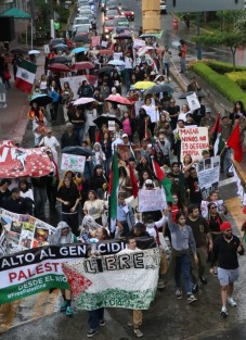 Asociaciones civiles, académicos, estudiantes y población en general marcharon en la ciudad de Xalapa, desde el Teatro del Estado hasta el centro de la capital, para exigir a la federación romper relaciones con el Estado de Israel.
