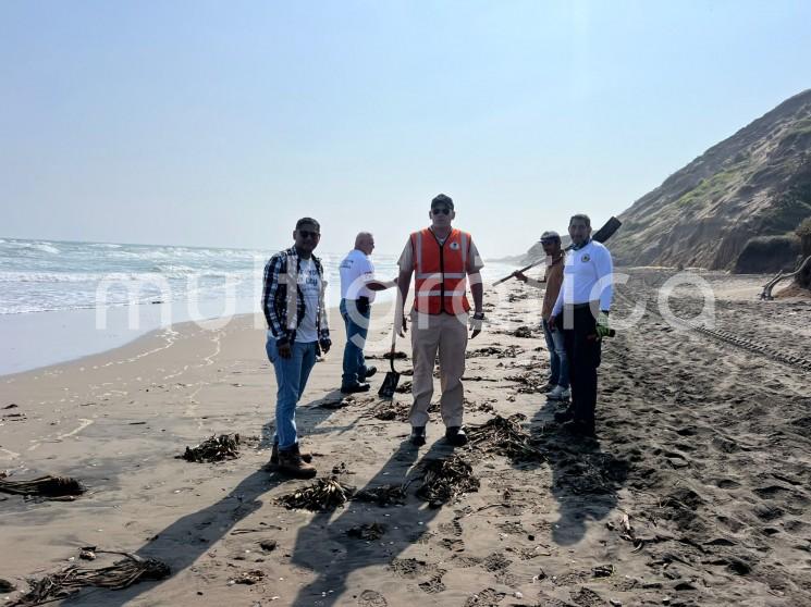 Garantiza PMA limpieza de playas tras arribo de residuos de hidrocarburo 

