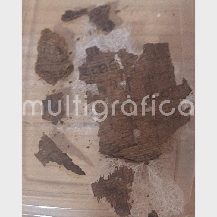 Arqueólogos de la Universidad de Barcelona hallan fragmento de La Ilíada dentro de una momia en Egipto