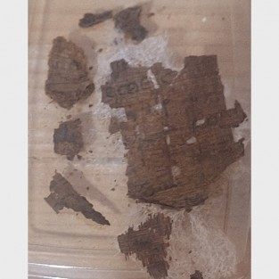 Arqueólogos de la Universidad de Barcelona hallan fragmento de La Ilíada dentro de una momia en Egipto