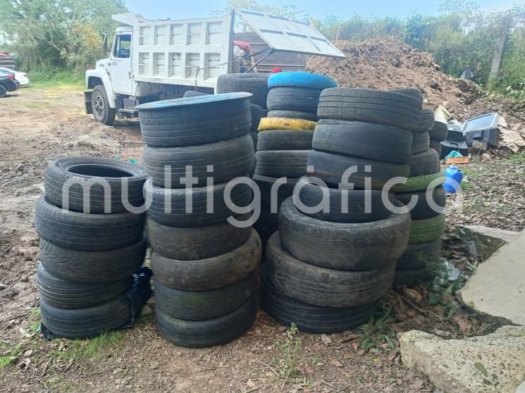 Lanza Banderilla campaña de descacharrización para combatir criaderos del mosco transmisor del dengue