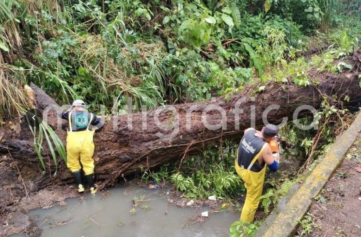 Atiende Gobierno de Veracruz incidencias por lluvias y refuerza prevención