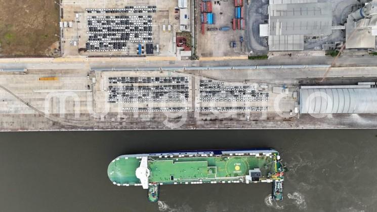 Arriba buque a Coatzacoalcos para exportar 3 mil vehículos Hyundai hacia Estados Unidos
