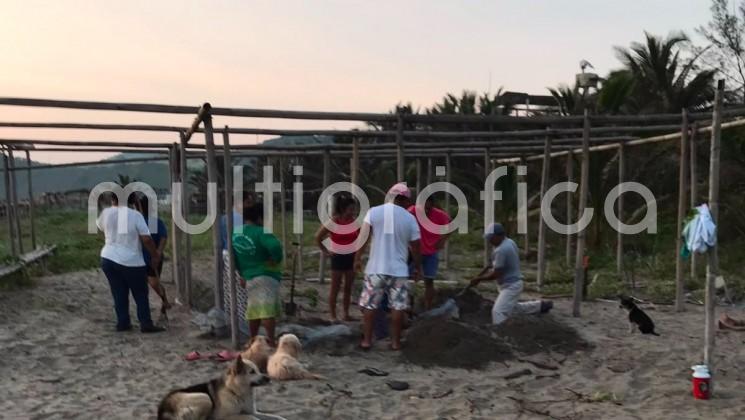 Campamento tortuguero de Los Tuxtlas lanzan colecta para financiar operativos de conservación