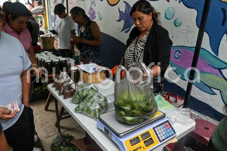 Productores de Tatatila piden el respaldo de la población xalapeña ante la caída del precio del higo 