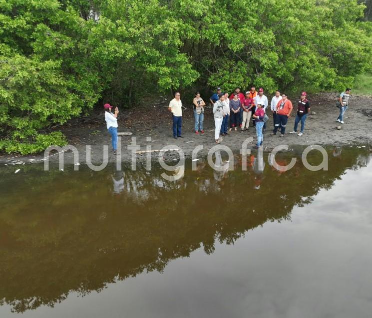 Altas temperaturas y déficit de precipitación, factores asociados a mortandad de peces en Vega de Alatorre 