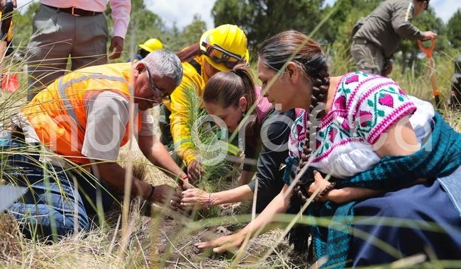 CSP encabeza inicio de la Jornada Nacional de Reforestación 2026

La mandataria firmó el Decreto que declara el segundo domingo de agosto de cada año como el -Día Nacional de la Reforestación-
