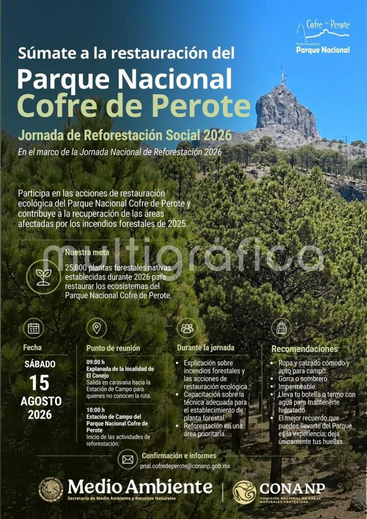 Este sábado invitan a reforestar zonas afectadas del Cofre de Perote
