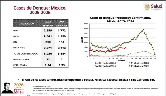 Con 660 casos de dengue, Veracruz se ubica en segundo lugar nacional: Salud